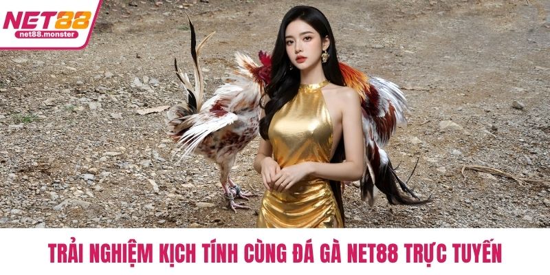Trải nghiệm kịch tính cùng đá gà NET88 trực tuyến